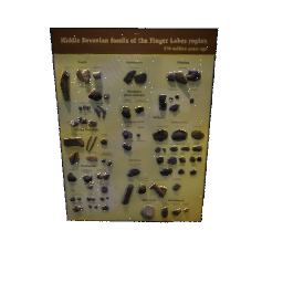 Fossils