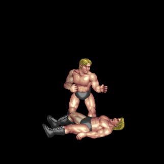 Pointed Elbow Drop / エルボー・スタンプ