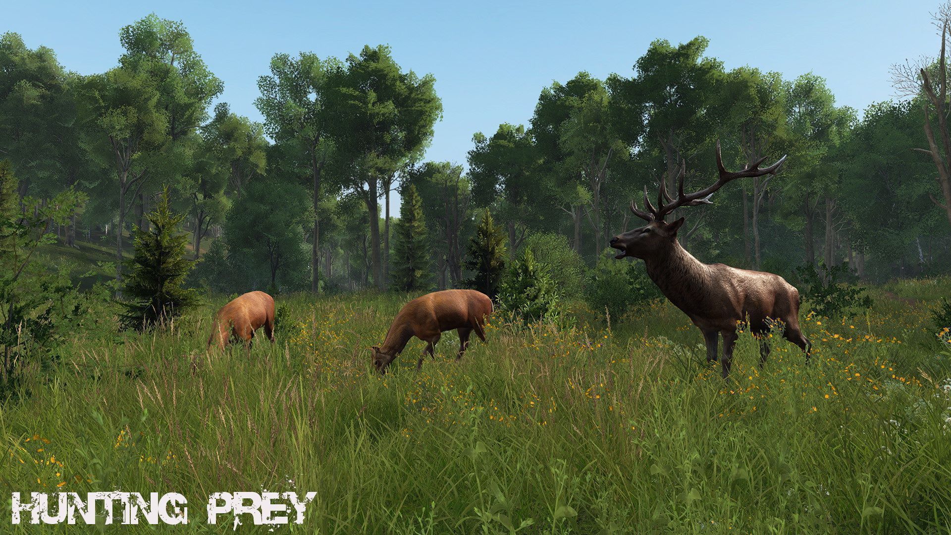 HuntingPrey-Cherno