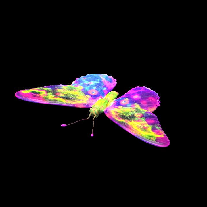 Butterfly 9
