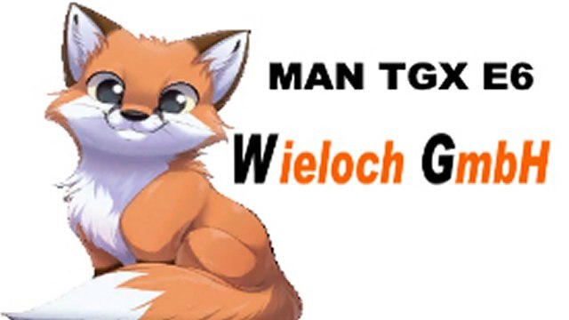Wieloch MAN TGX E6