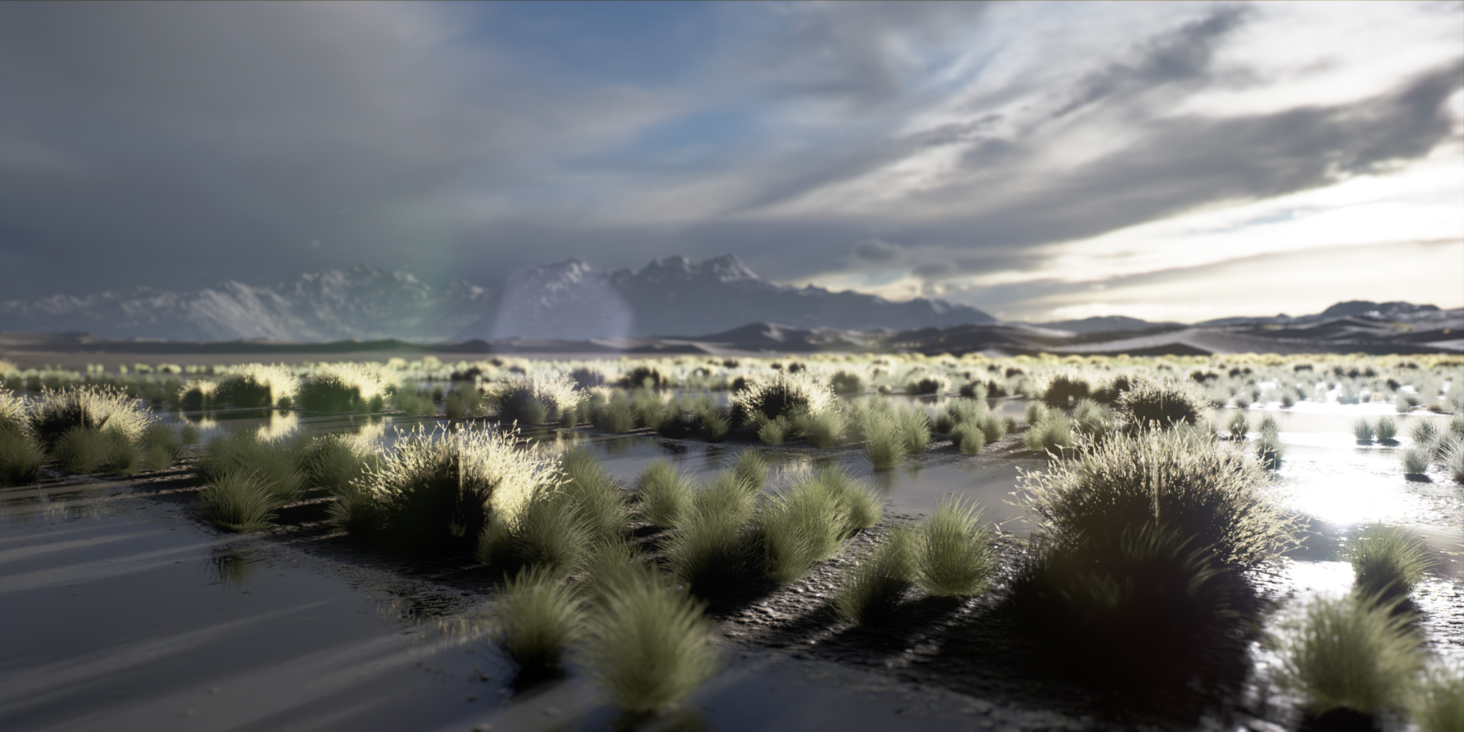 PhotoScene - Wetland