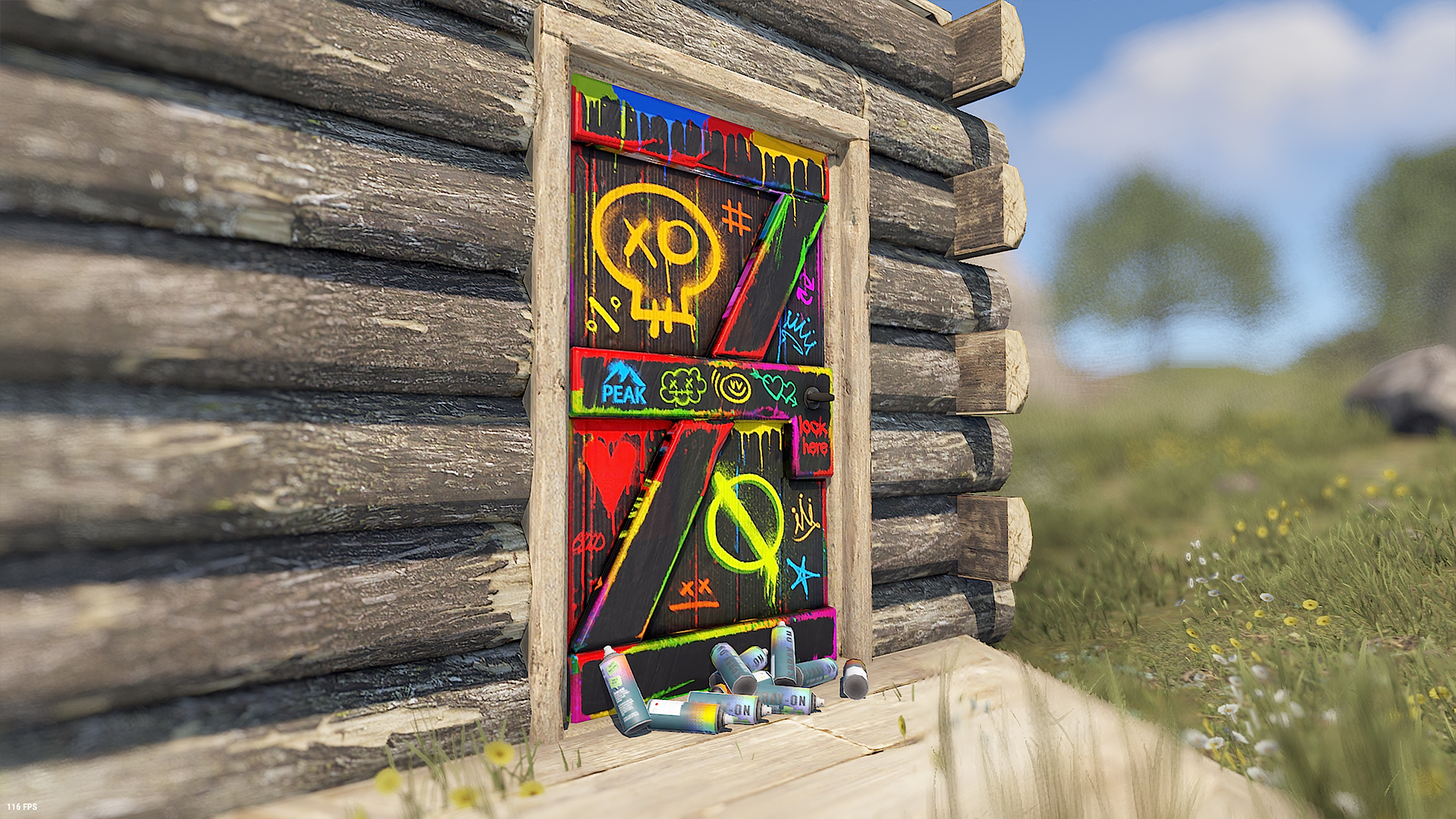 Spraycan Wooden Door