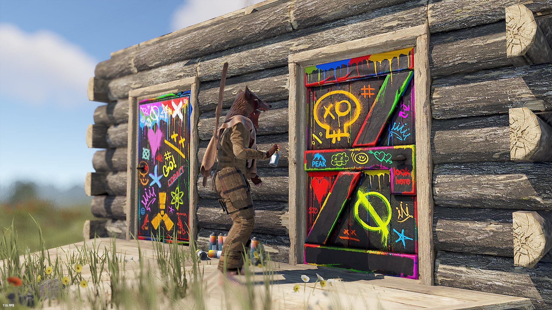 Spraycan Wooden Door