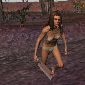 NPC Edit | Diverse Shrieking Bandit Weapons