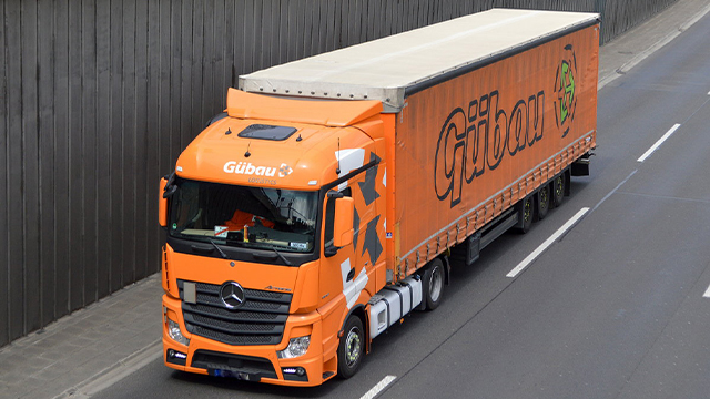 Combo skin Gubau Logistics