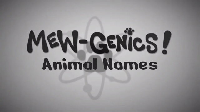Mewgenics Animal Names