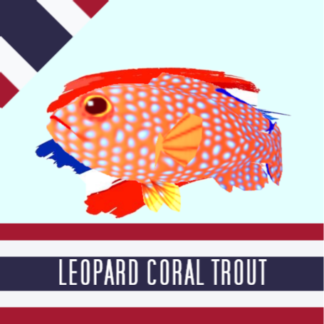 Leopard Coral Trout (ปลากะรังจุดฟ้าจุดเล็ก)