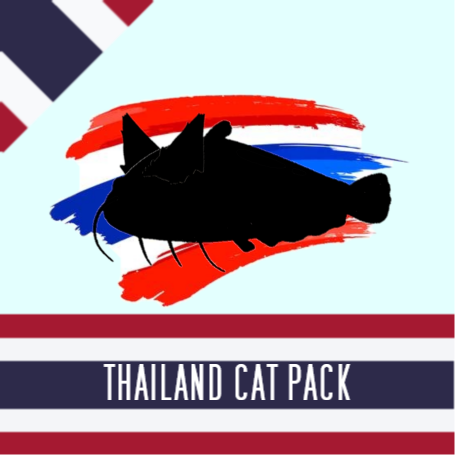 Thailand Cat Pack