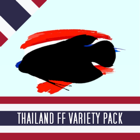 Thailand FF Variety Pack