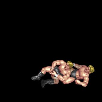Ankle Hold