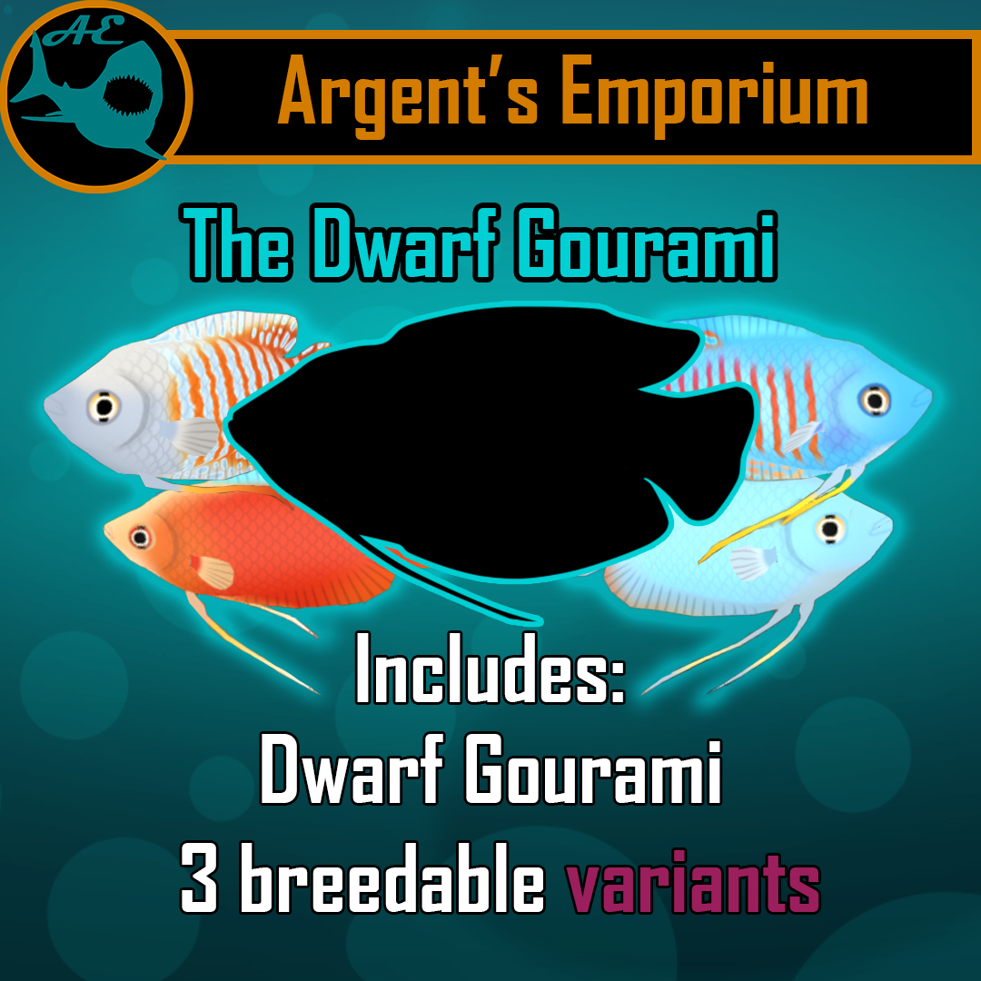 AE - Dwarf Gourami