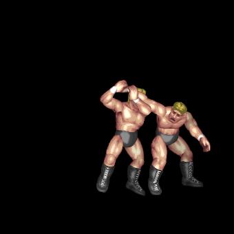 Straight Arm Bar