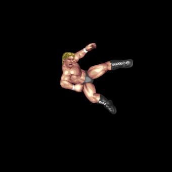 Taekwondo Kick
