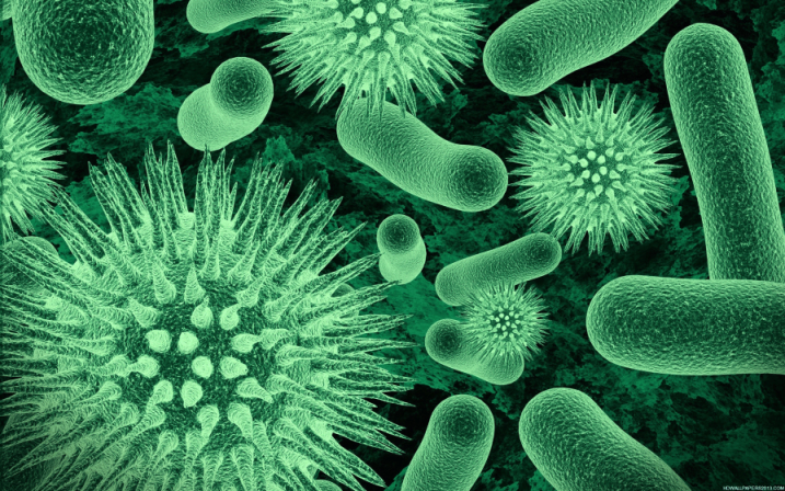 Diseases Extended
