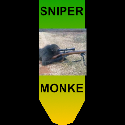 Sniper monkey