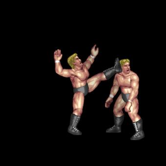 Otou-ryu Front Kick