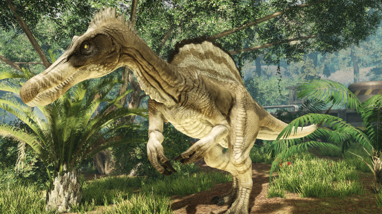 Coffee Spino