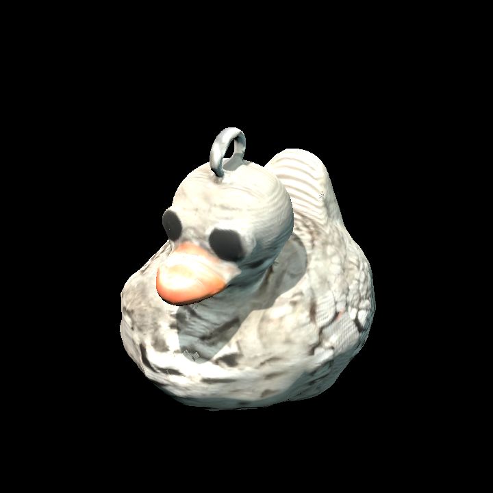 Skeleton duck