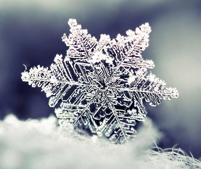 [API] Snow Core Interface [Alpha] – Don't Starve Together Mod