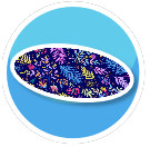 Floral Rug Oval
