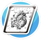 Medical Illustrations Heart