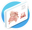 Medical Illustrations Nasal