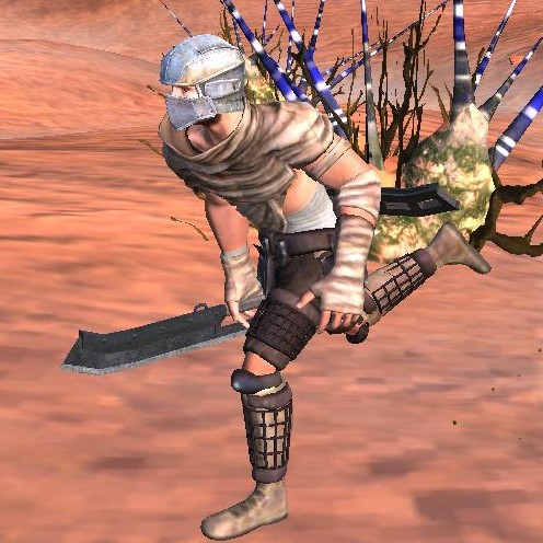NPC Edit | Diverse Blood Raider Armor