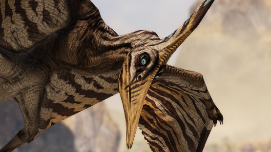 Desert Sky Ptera (Summer 2022)