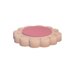 circle cookie