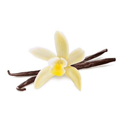 VanillaMenus