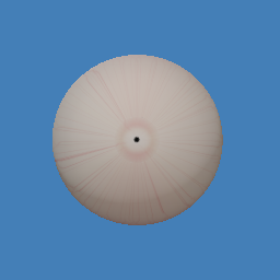 eyeball