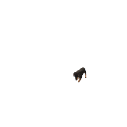 dog preview