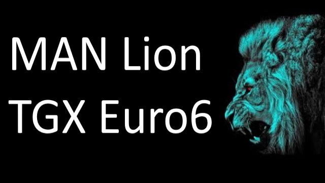 MAN Lion skins for TGX Euro6