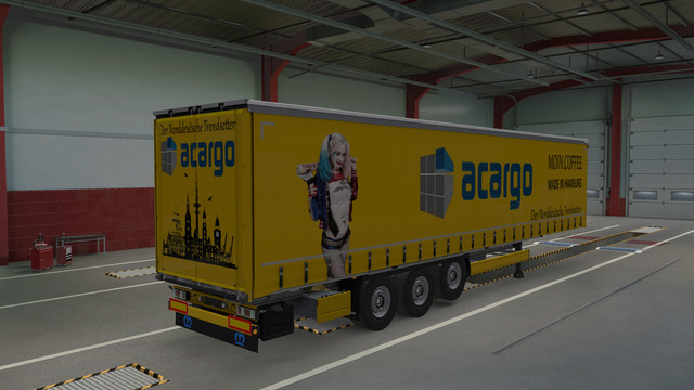Acargo Harley Quinn
