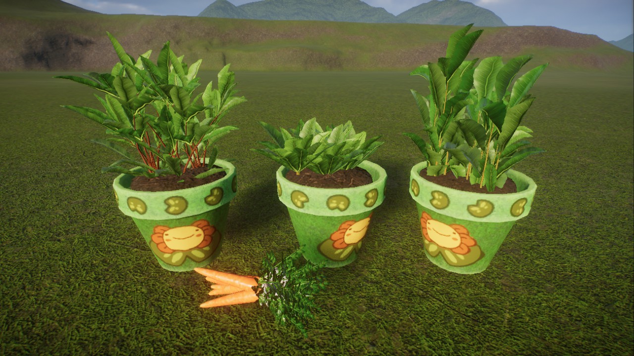 3 pots of herbs and 1 bunch of carrots, Töpfe mit Gewürzpflanzen