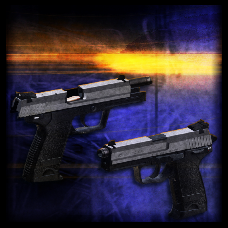 NMRIH | H&K USP