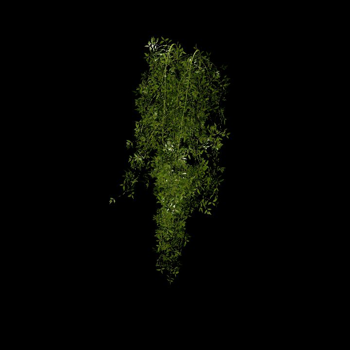 Hanging plants_05