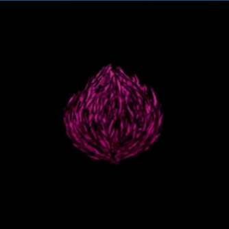 tumbleweed of all extend – Don't Starve Together Mod
