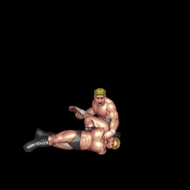 Double Arm Lock