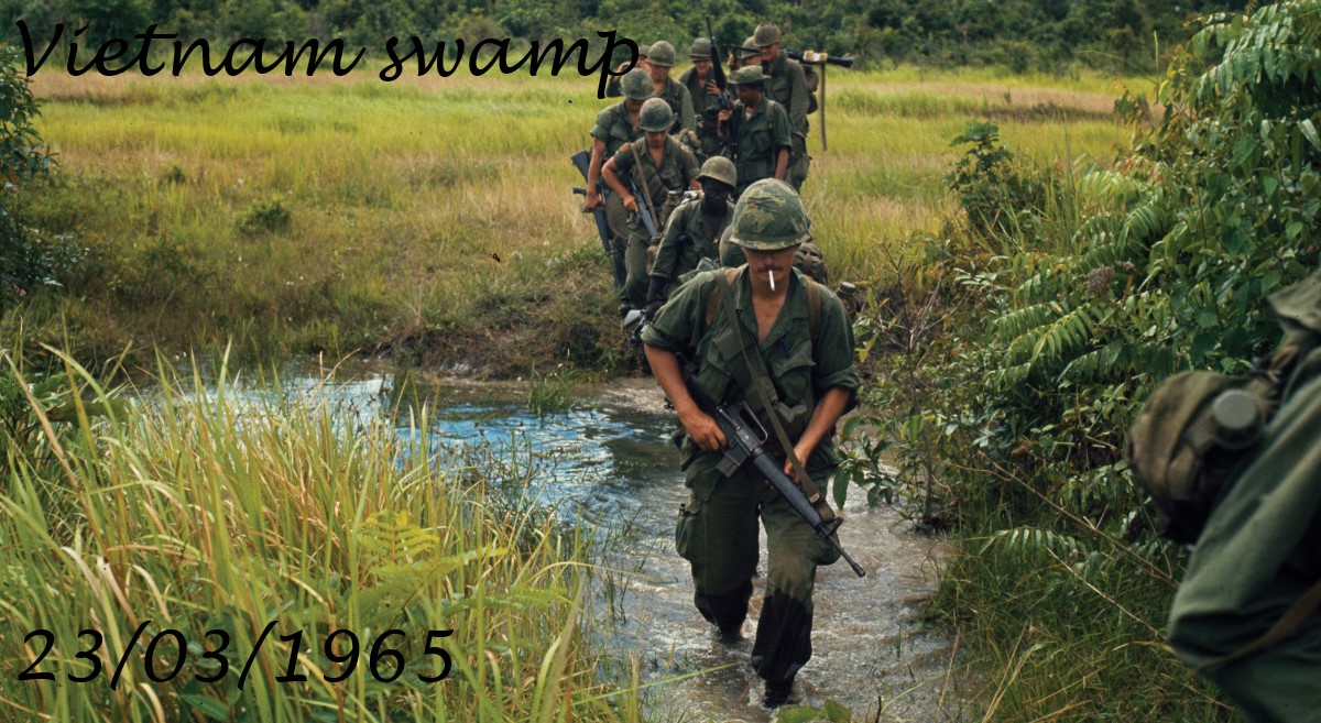 Vietnam Swamp [Map]
