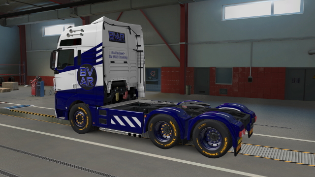 BVAR MAN TGX06 Paint Skin