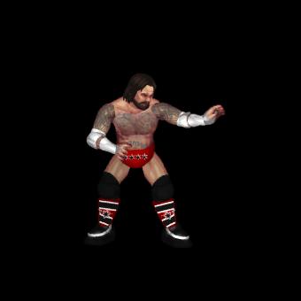CM Punk (SES)