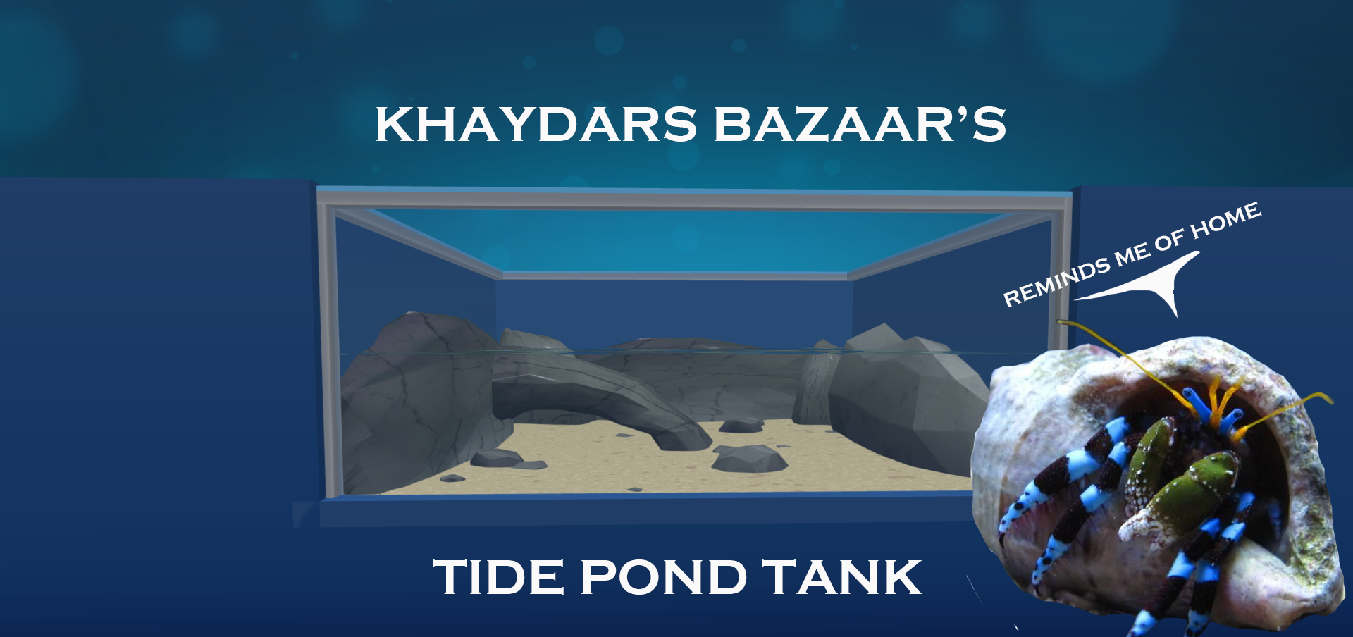 Khaydar's Bazaar - Tide pool tank