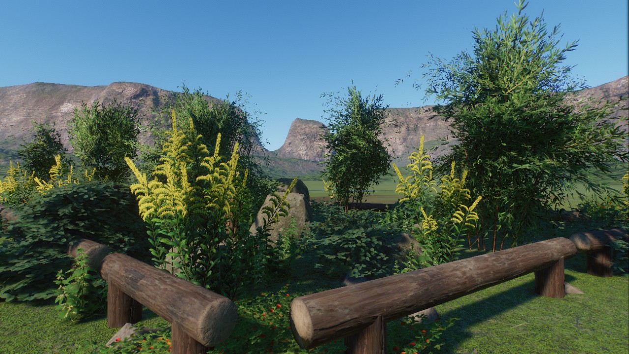 Nature Scenery