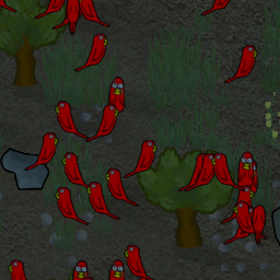 A Modest Parrot