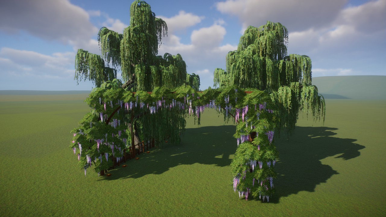 Wisteria Arch