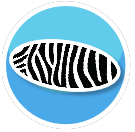 Animal Print Rug - Zeb Oval