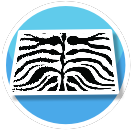 AP Floor - Zebra
