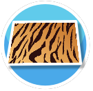 Animal Print Floor - Tiger